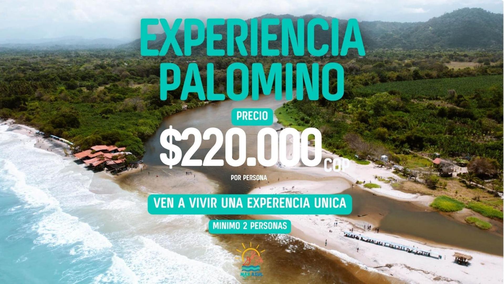 Mar Azul - Playa Y Turismo Villa Camarones Eksteriør billede