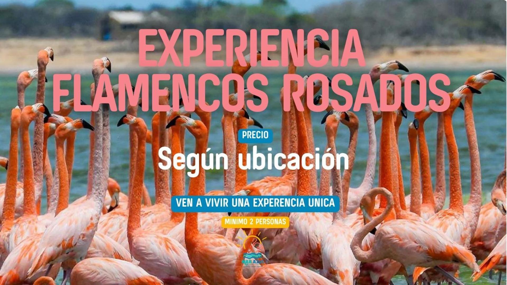 Mar Azul - Playa Y Turismo Villa Camarones Eksteriør billede